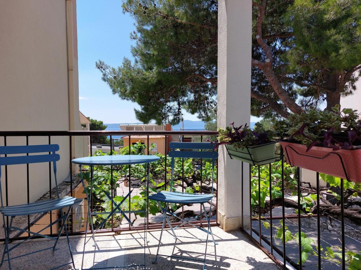 Apartments Denise Podgora Εξωτερικό φωτογραφία
